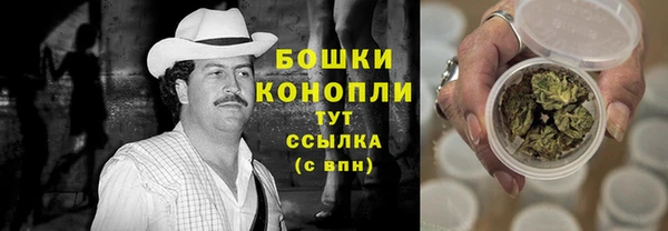стаф Карпинск