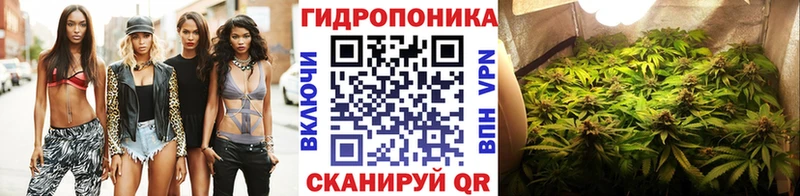 Канабис THC 21%  сколько стоит  Называевск 